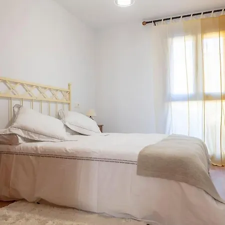 Coqueto En Valdelinares (Aragon)