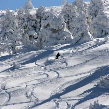Coqueto En Appartamento