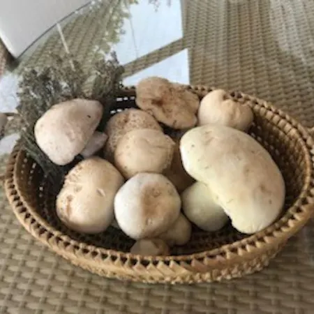 Appartamento Coqueto En Valdelinares (Aragon)