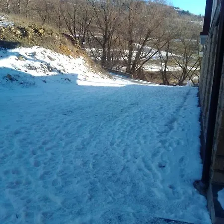 Coqueto En Valdelinares (Aragon)