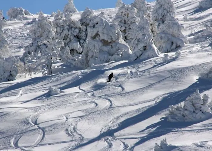 Coqueto En Lägenhet