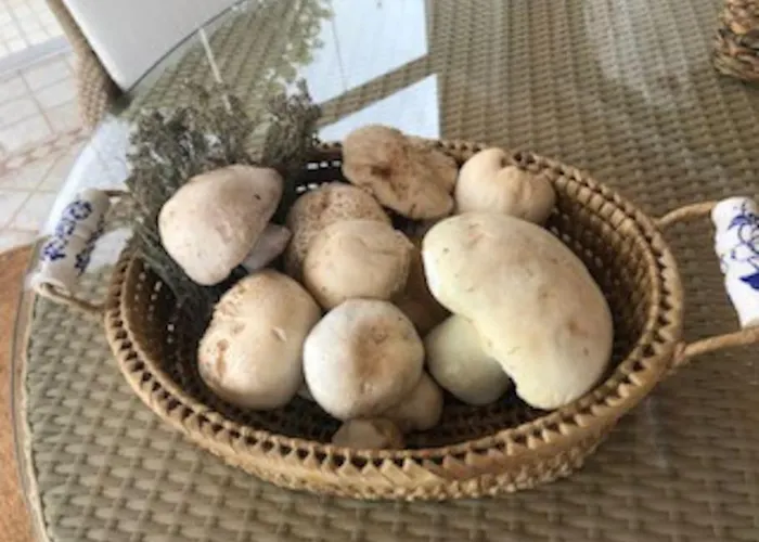 Lägenhet Coqueto En Valdelinares (Aragon)