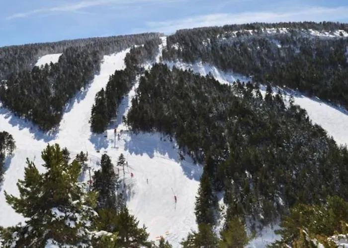 Coqueto En * Valdelinares (Aragon)