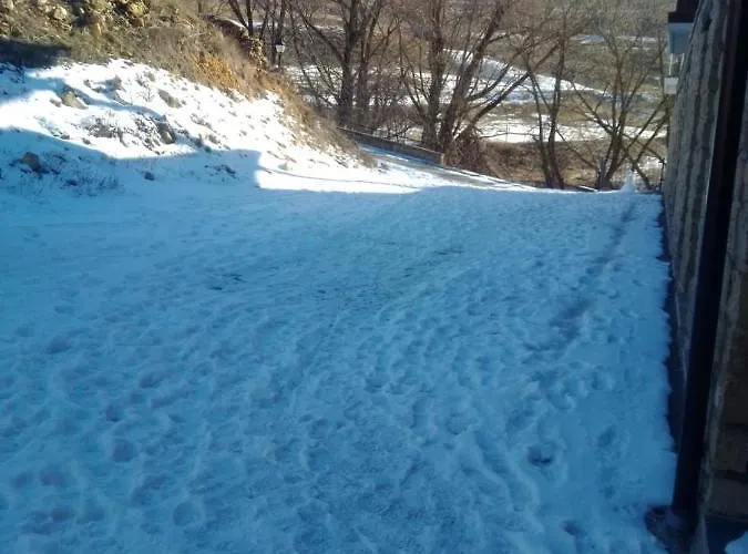 Coqueto En Valdelinares (Aragon)